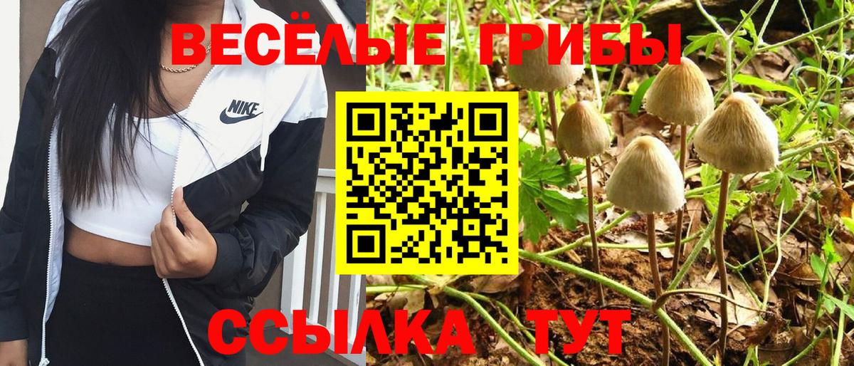 Псилоцибиновые грибы Psilocybine cubensis Вичуга